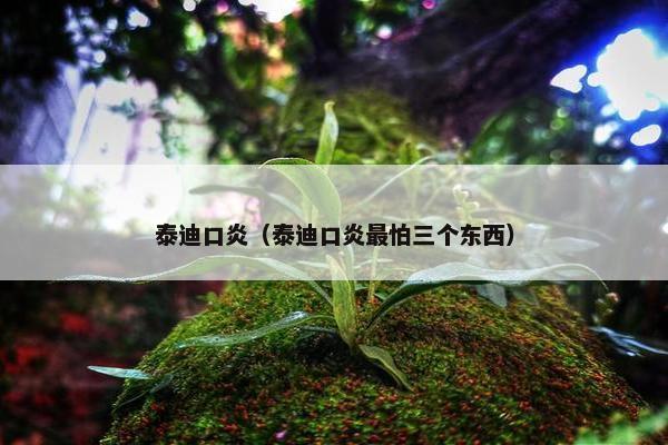 泰迪口炎（泰迪口炎最怕三个东西）