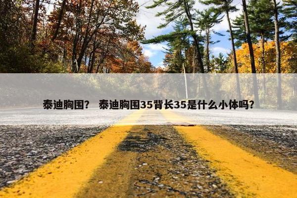 泰迪胸围？ 泰迪胸围35背长35是什么小体吗？