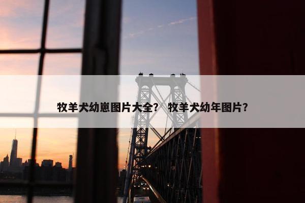 牧羊犬幼崽图片大全？ 牧羊犬幼年图片？