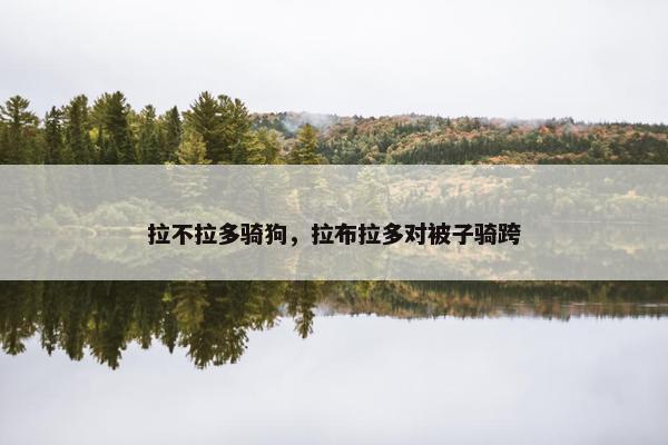 拉不拉多骑狗，拉布拉多对被子骑跨