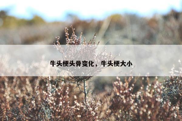牛头梗头骨变化，牛头梗大小