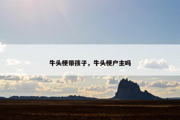 牛头梗带孩子，牛头梗户主吗