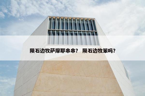 陨石边牧萨摩耶串串？ 陨石边牧笨吗？