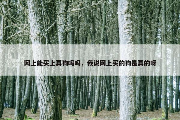 网上能买上真狗吗吗，我说网上买的狗是真的呀