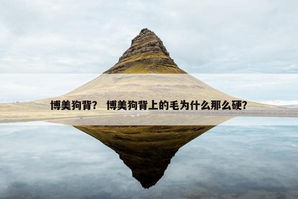 博美狗背？ 博美狗背上的毛为什么那么硬？