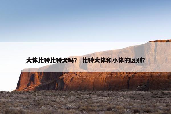 大体比特比特犬吗？ 比特大体和小体的区别？