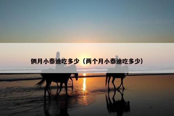 俩月小泰迪吃多少（两个月小泰迪吃多少）