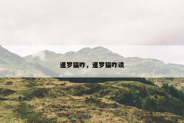 暹罗猫咋，暹罗猫咋读