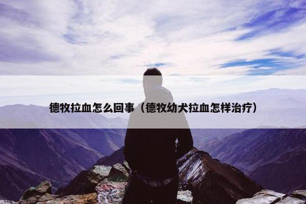 德牧拉血怎么回事（德牧幼犬拉血怎样治疗）