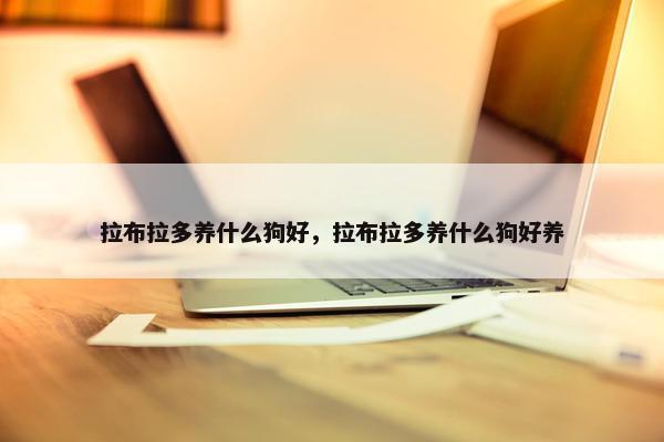 拉布拉多养什么狗好，拉布拉多养什么狗好养