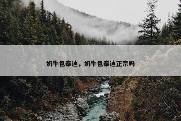 奶牛色泰迪，奶牛色泰迪正宗吗