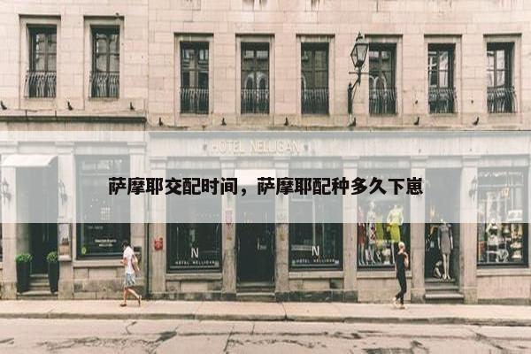 萨摩耶交配时间，萨摩耶配种多久下崽