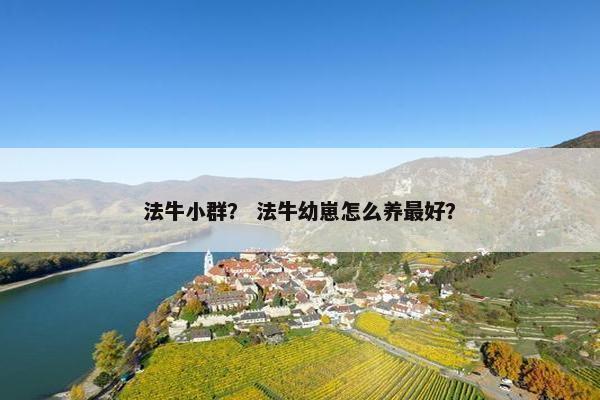 法牛小群？ 法牛幼崽怎么养最好？