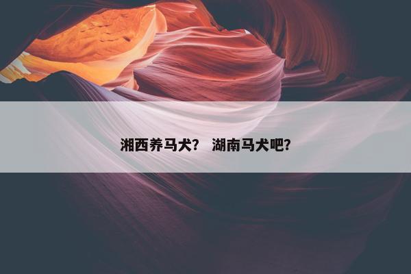 湘西养马犬？ 湖南马犬吧？