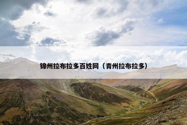 锦州拉布拉多百姓网（青州拉布拉多）