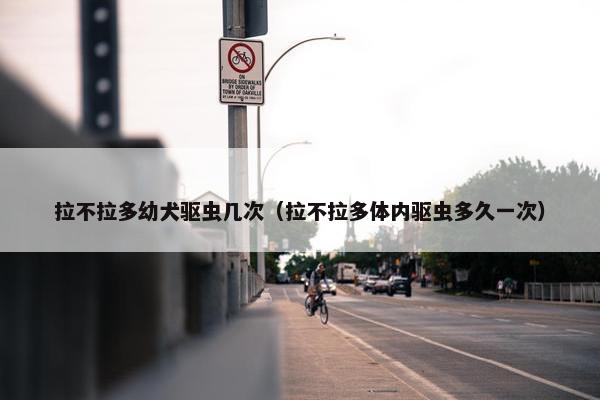拉不拉多幼犬驱虫几次（拉不拉多体内驱虫多久一次）