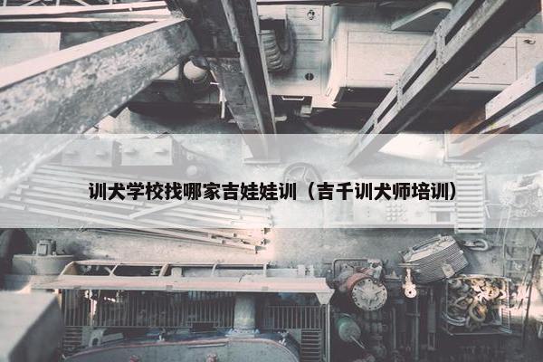 训犬学校找哪家吉娃娃训（吉千训犬师培训）