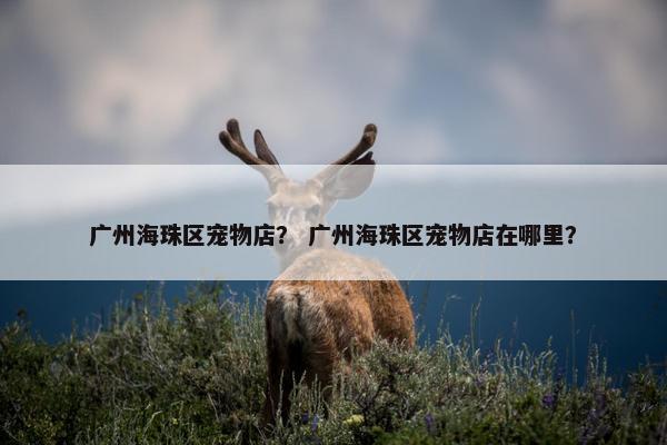 广州海珠区宠物店？ 广州海珠区宠物店在哪里？