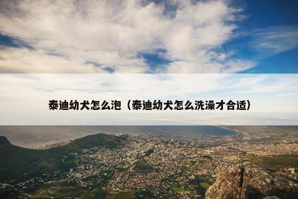 泰迪幼犬怎么泡（泰迪幼犬怎么洗澡才合适）