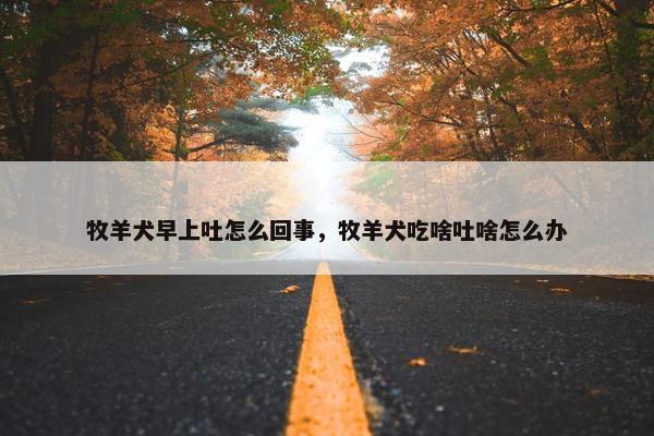 牧羊犬早上吐怎么回事，牧羊犬吃啥吐啥怎么办