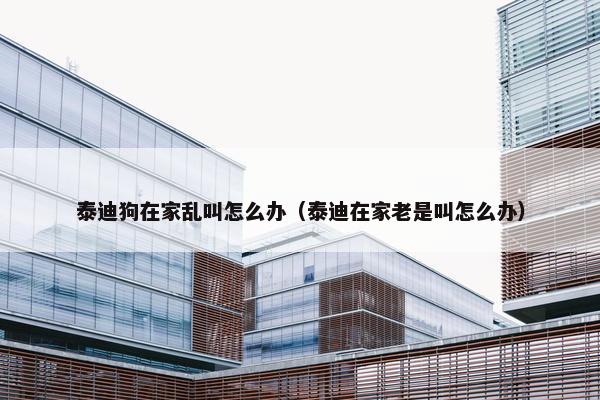 泰迪狗在家乱叫怎么办（泰迪在家老是叫怎么办）