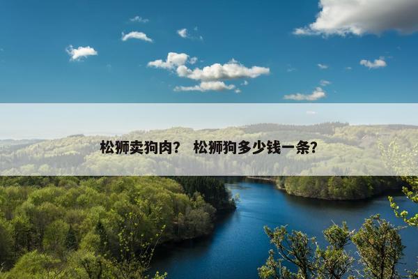 松狮卖狗肉？ 松狮狗多少钱一条？