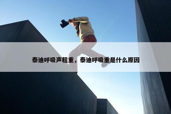 泰迪呼吸声粗重，泰迪呼吸重是什么原因