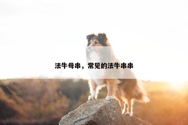 法牛母串，常见的法牛串串