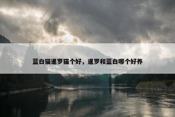 蓝白猫暹罗猫个好，暹罗和蓝白哪个好养