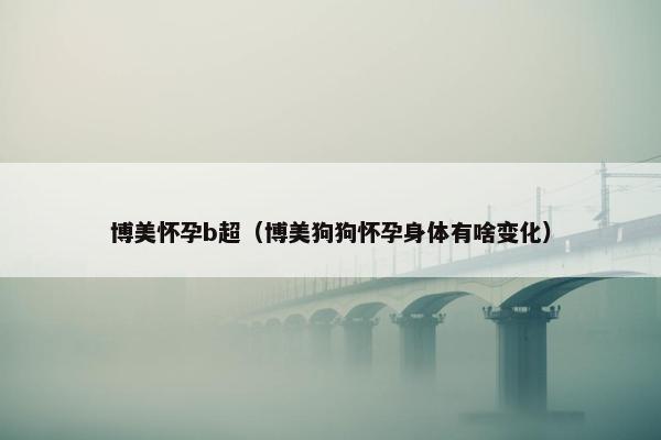 博美怀孕b超（博美狗狗怀孕身体有啥变化）