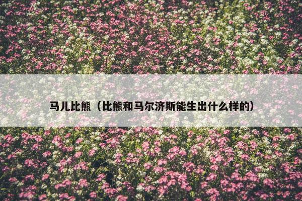 马儿比熊（比熊和马尔济斯能生出什么样的）