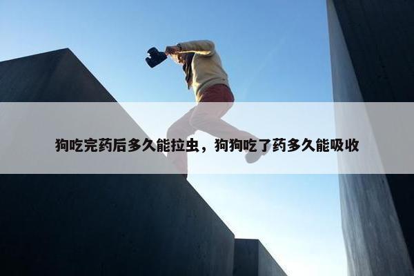 狗吃完药后多久能拉虫，狗狗吃了药多久能吸收