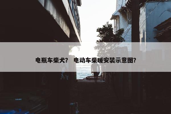 电瓶车柴犬？ 电动车柴暖安装示意图？