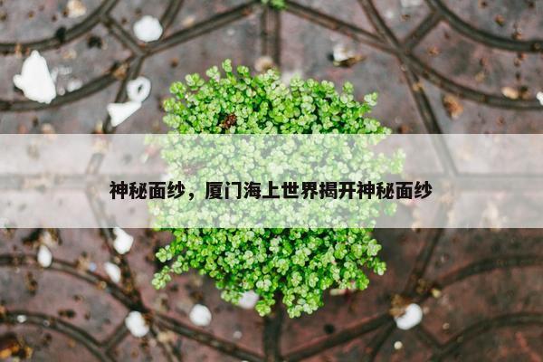 神秘面纱，厦门海上世界揭开神秘面纱