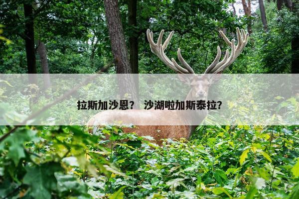 拉斯加沙恩？ 沙湖啦加斯泰拉？