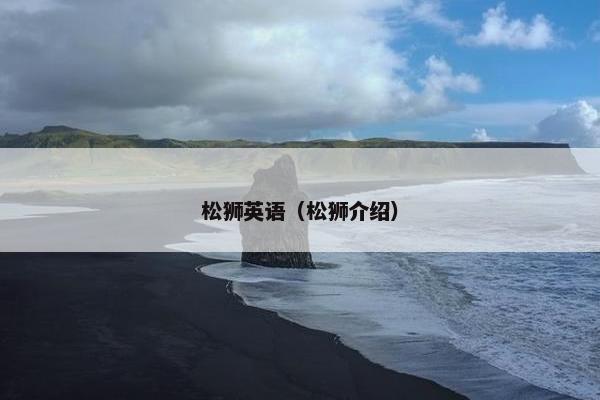 松狮英语（松狮介绍）