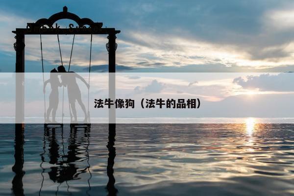 法牛像狗（法牛的品相）