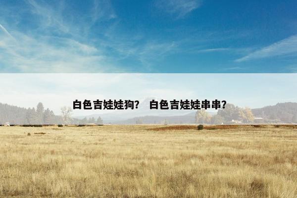白色吉娃娃狗？ 白色吉娃娃串串？