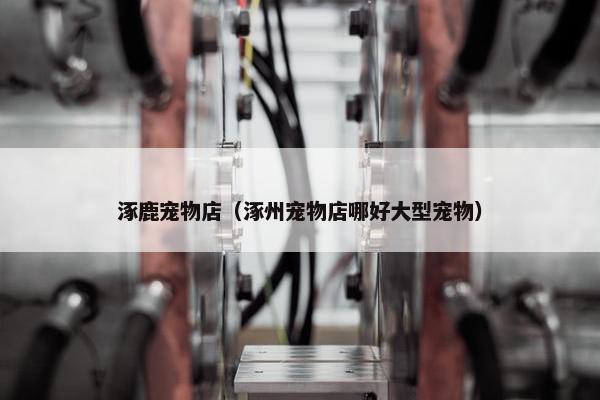 涿鹿宠物店（涿州宠物店哪好大型宠物）