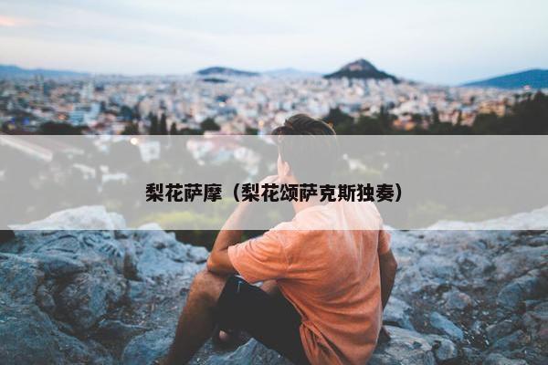 梨花萨摩（梨花颂萨克斯独奏）