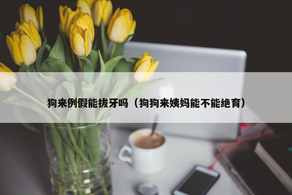 狗来例假能拔牙吗（狗狗来姨妈能不能绝育）
