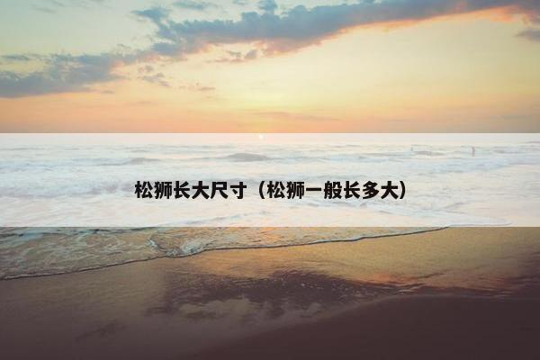 松狮长大尺寸（松狮一般长多大）