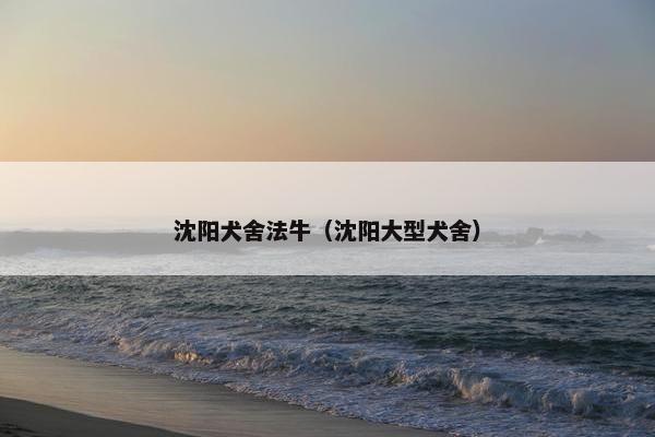 沈阳犬舍法牛（沈阳大型犬舍）