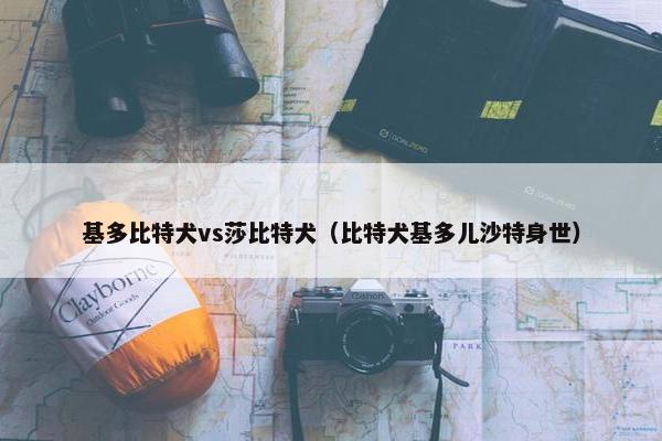 基多比特犬vs莎比特犬（比特犬基多儿沙特身世）