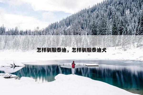 怎样驯服泰迪，怎样驯服泰迪犬