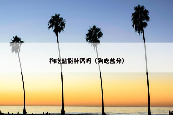 狗吃盐能补钙吗（狗吃盐分）