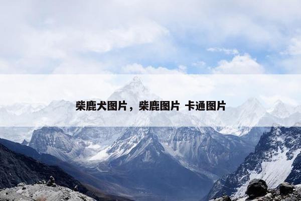 柴鹿犬图片，柴鹿图片 卡通图片