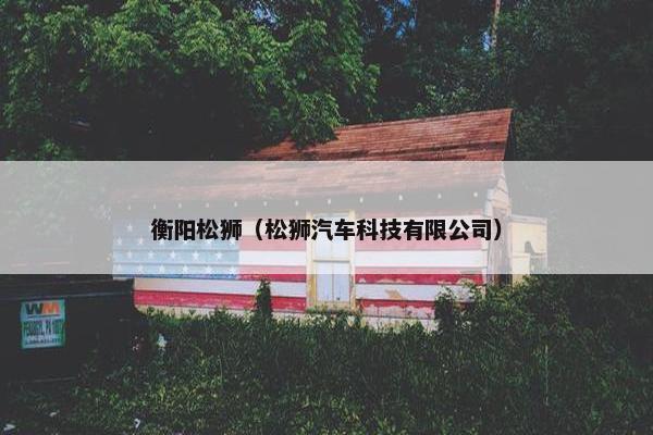衡阳松狮（松狮汽车科技有限公司）