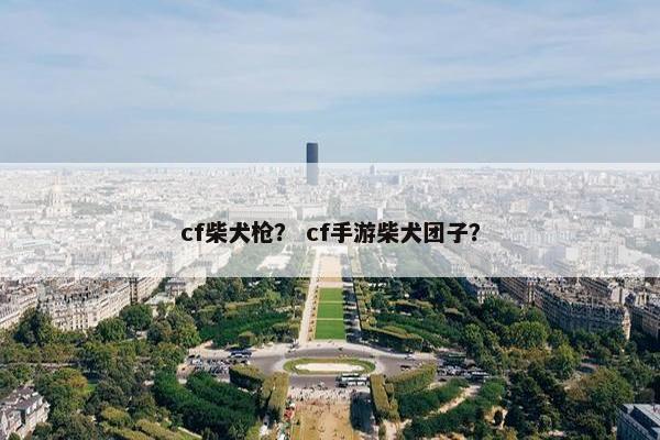 cf柴犬枪？ cf手游柴犬团子？