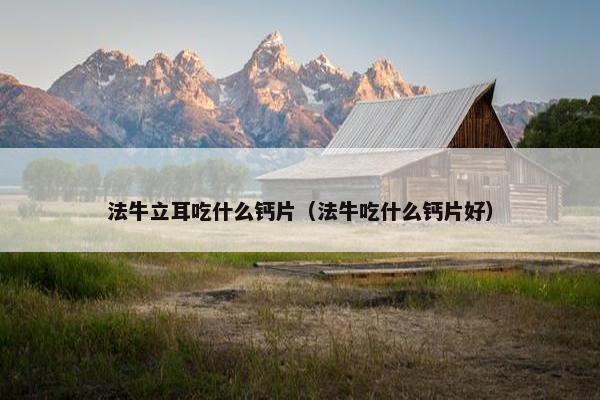 法牛立耳吃什么钙片（法牛吃什么钙片好）